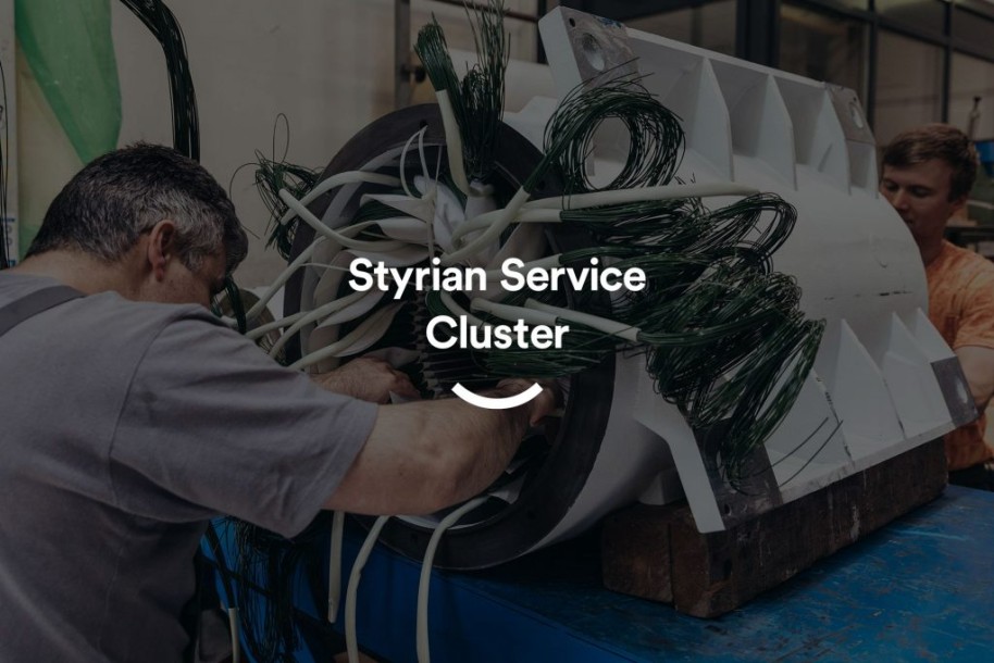 styrian-service-cluster_1